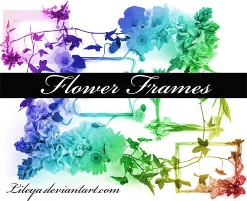 floral frames photoshop brushes