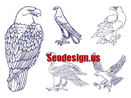 Eagle Vector Graphic Silhouettes