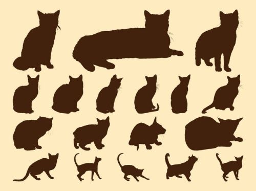 Cats Vector Silhouettes