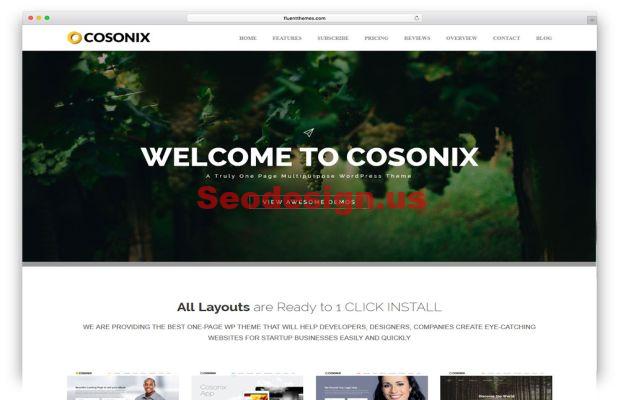 Cosonix One Page WordPress Theme